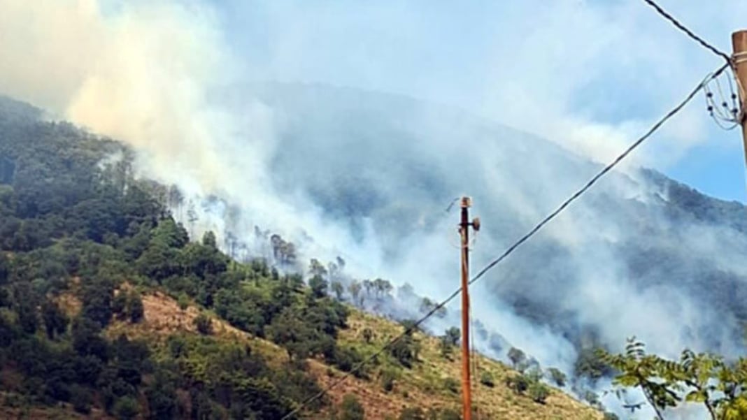 incendio sul vesuvio