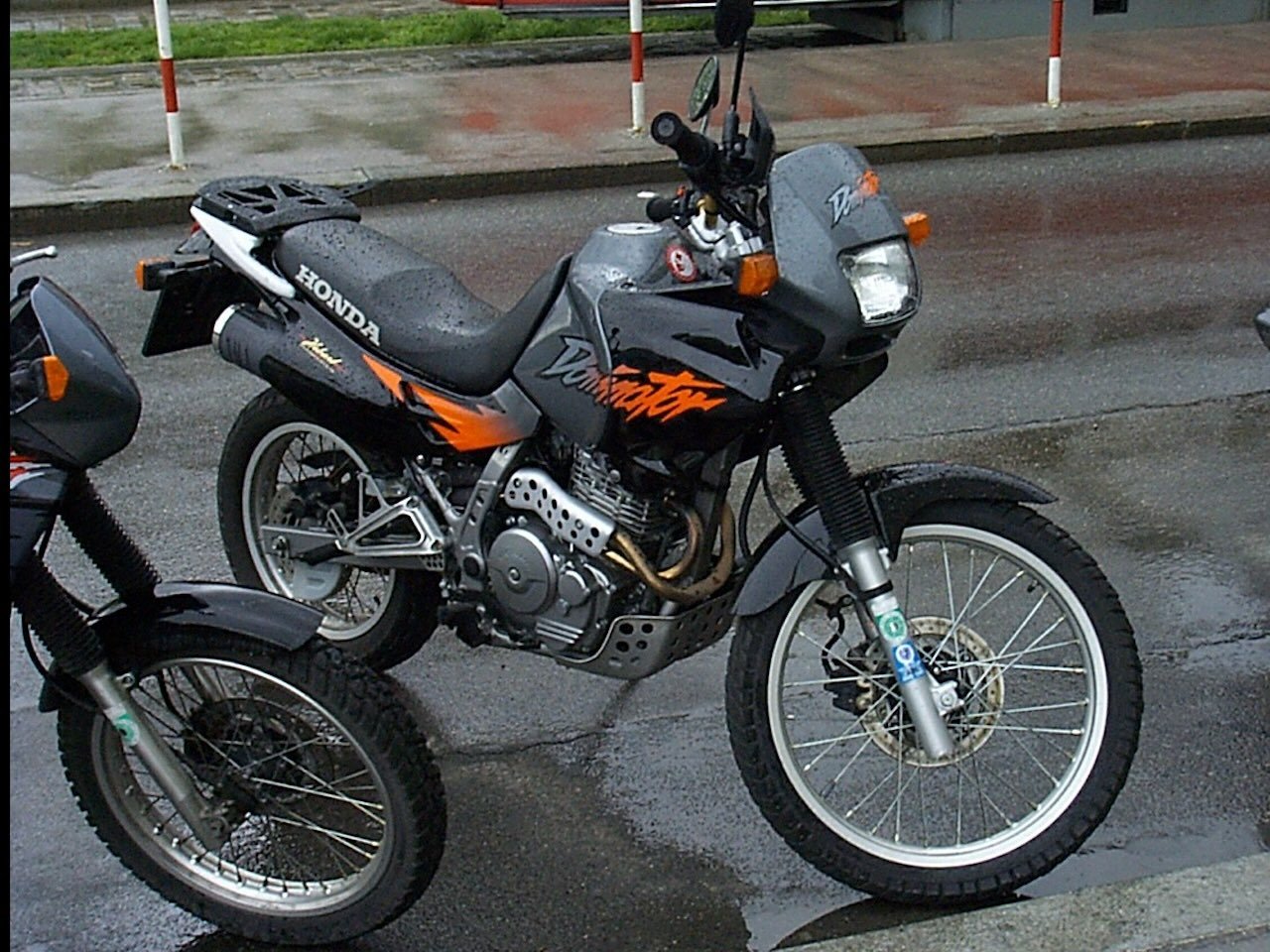 honda dominator portici, cavallo di ritorno