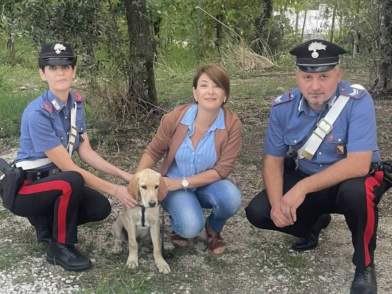 Sessa Aurunca, i carabinieri ritrovano cagnolino disperso grazie la microchip