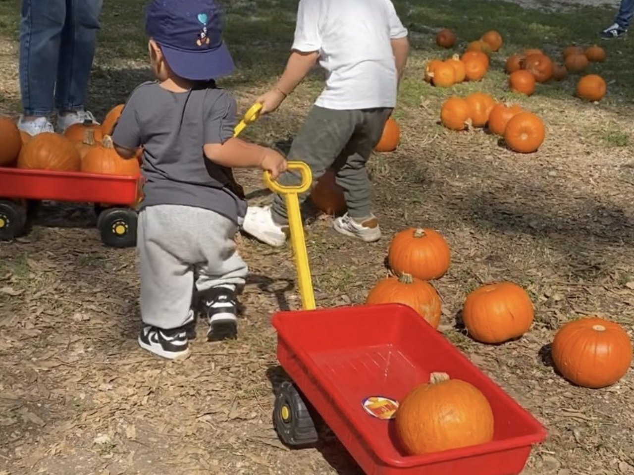 Napoli, alla Mostra d’Oltremare torna “Giochi di zucca”