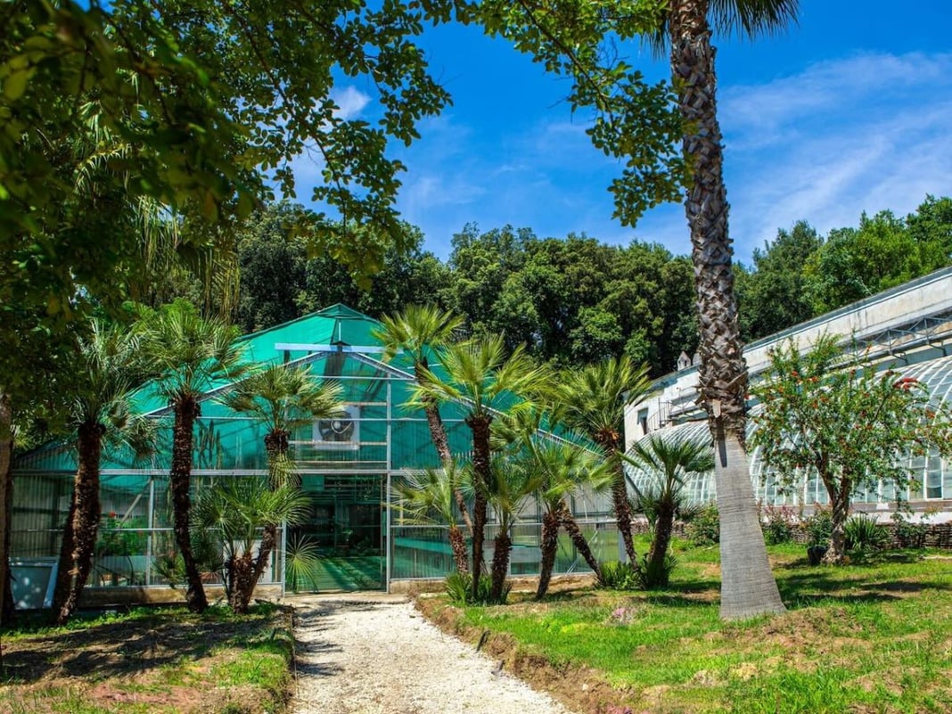 reggia di caserta, serre di graefer