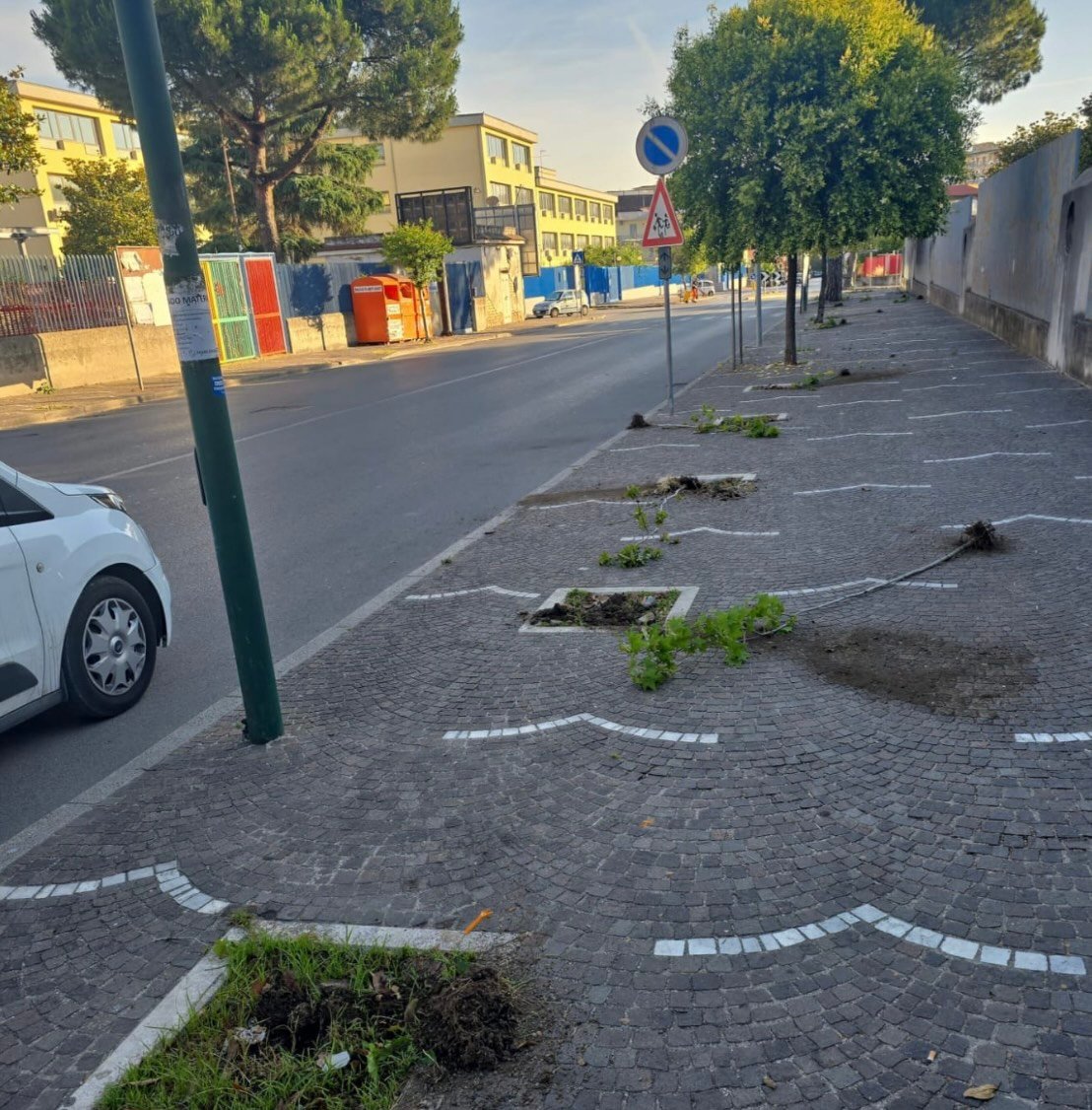 Arzano, sradicati gli alberi davanti alla villa Comunale